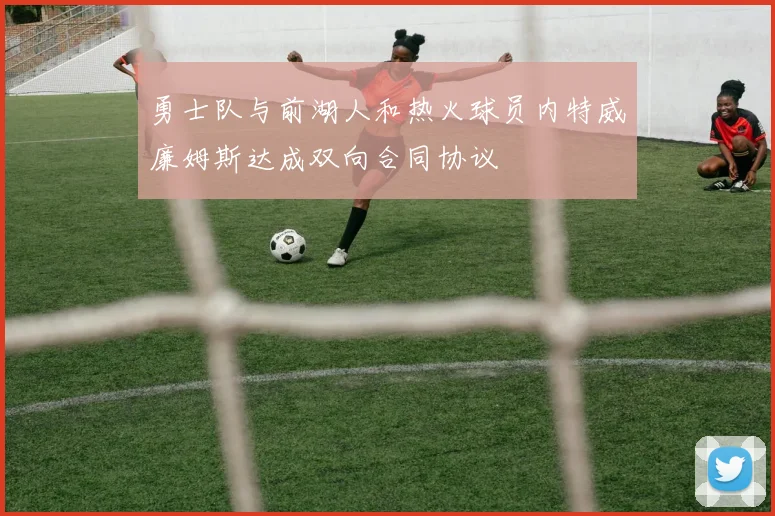 勇士队与前湖人和热火球员内特威廉姆斯达成双向合同协议