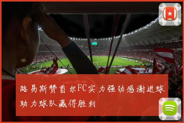 路易斯赞首尔FC实力强劲感谢进球助力球队赢得胜利