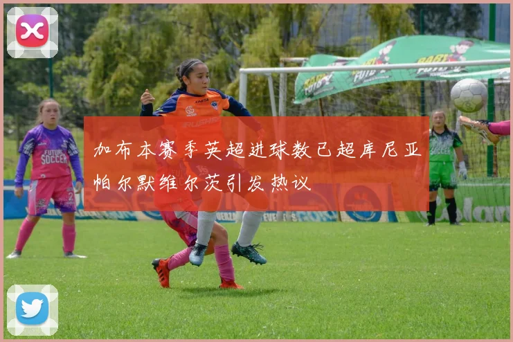 加布本赛季英超进球数已超库尼亚帕尔默维尔茨引发热议